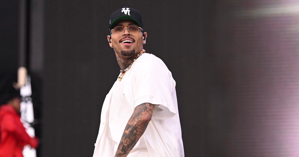 Chris Brown Rescued After Getting Stuck in Air During Concert