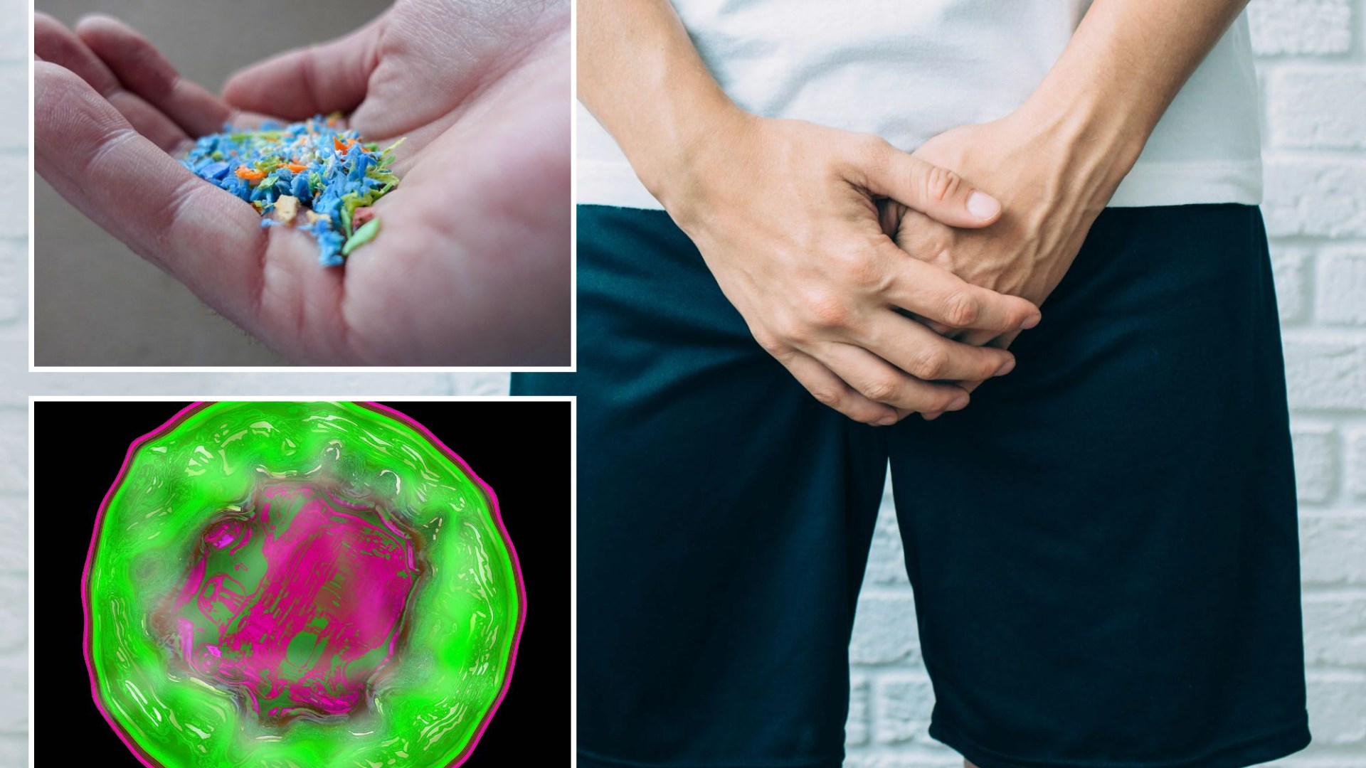 Double blow as microplastics found in penises for 1st time and ‘symptomless’ STI threatens male fertility