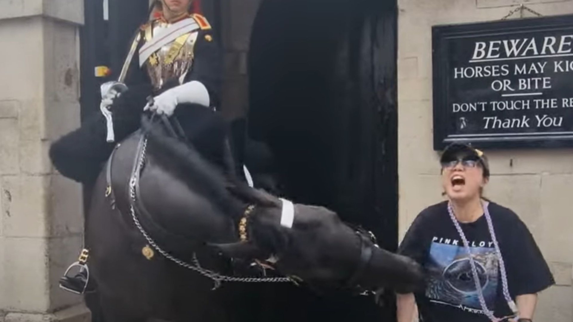 Shocking moment King’s Guard horse bites tourist on the arm so hard she faints to the ground in latest dramatic nip