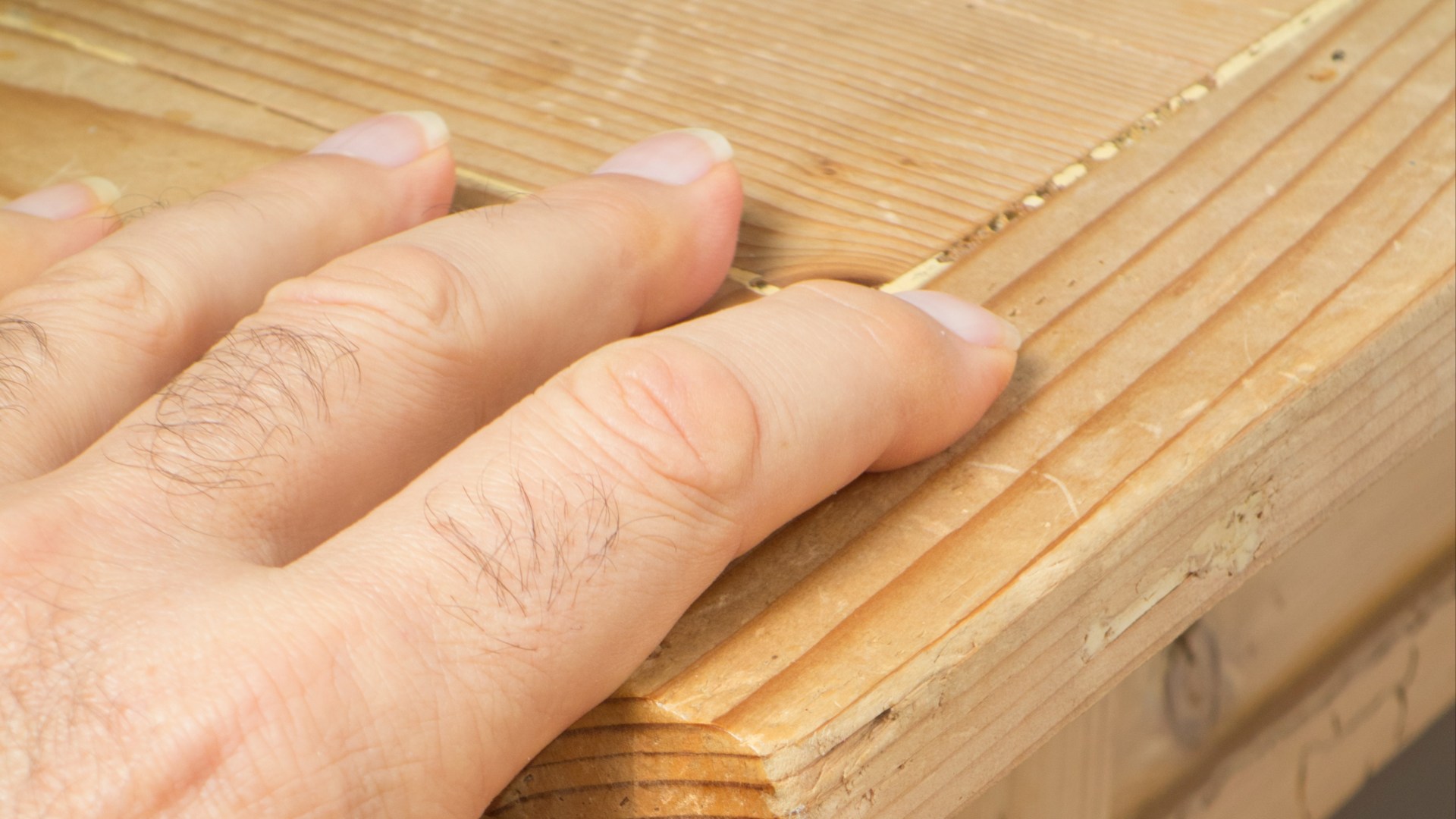 Touching wood is not just for bringing good luck — it can also have the same calming effect as stroking an animal