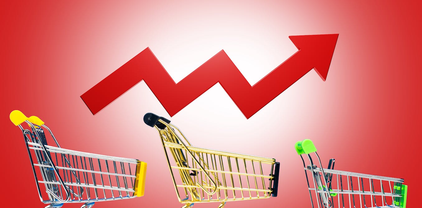 US food insecurity rate rose to 13.5% in 2023 as government benefits declined and food prices soared