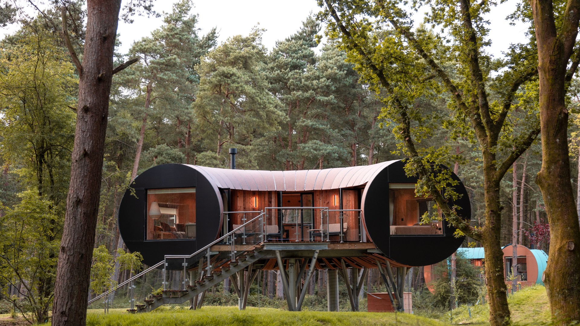 Stunning treehouse stays perfect for an autumn break – with free wine, cheese hampers and hot tubs