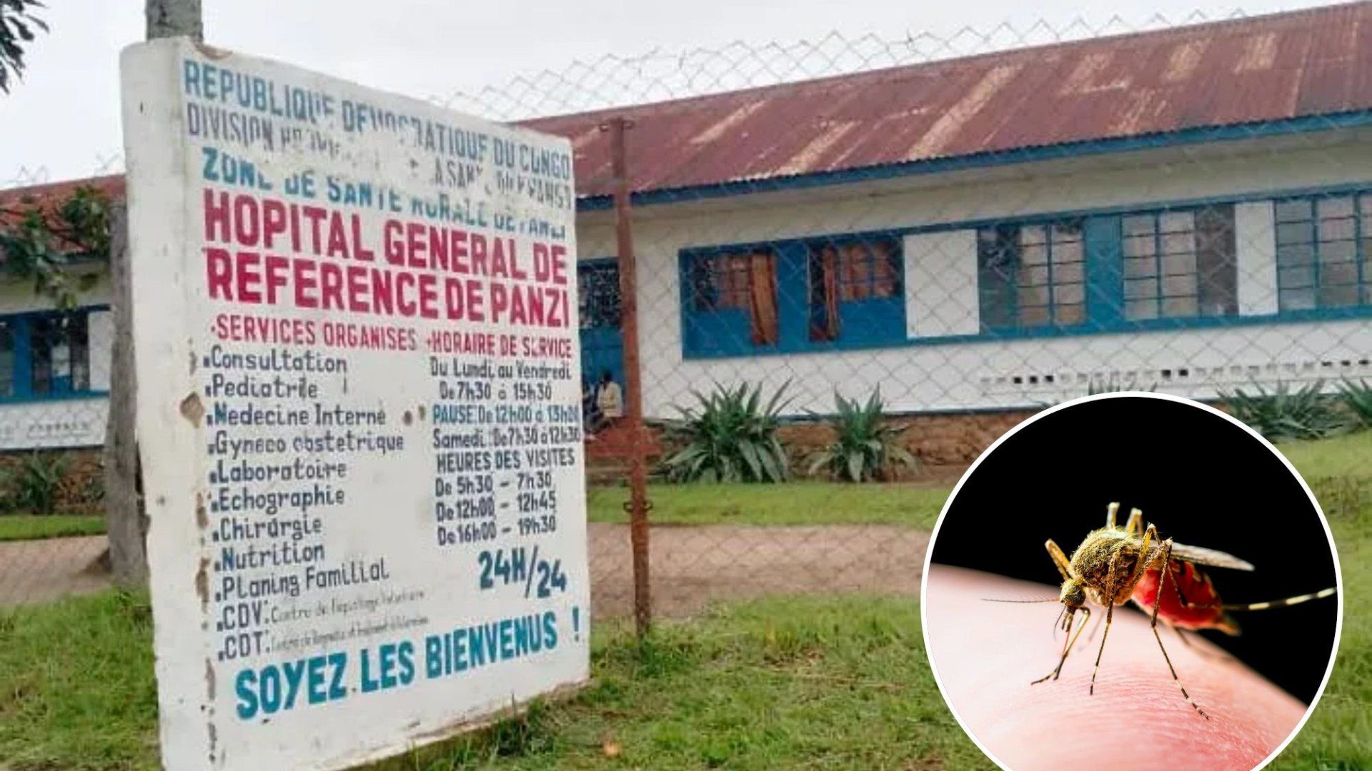 Mystery ‘Disease X’ ripping through Congo finally identified after 143 deaths and 592 cases